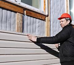 Best Historical Building Siding Restoration  in Morrilton, AR